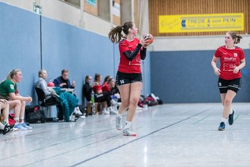 Bild 215 - F HSG Kremperheide/Muensterdorf - TSV SR Schuelp : Ergebnis: 19:14